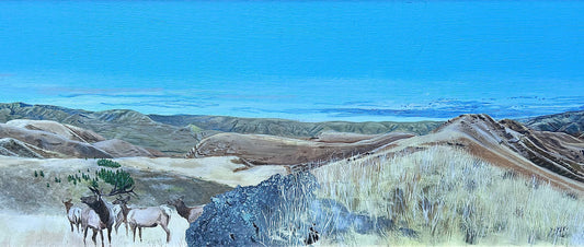 Chief Joseph Wildlife Area Matte Print