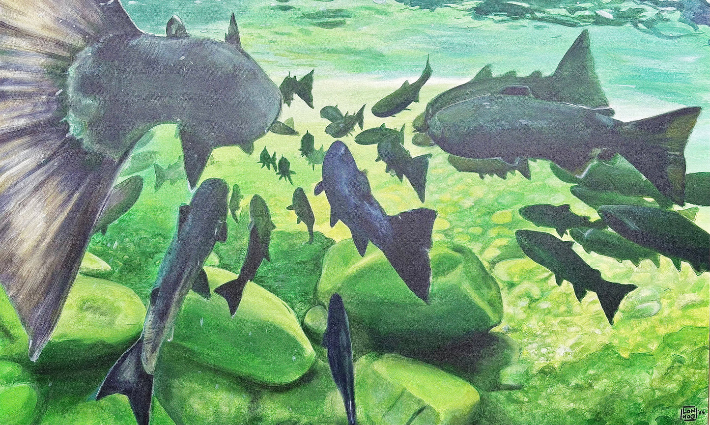 Sul Doc River Matte Print