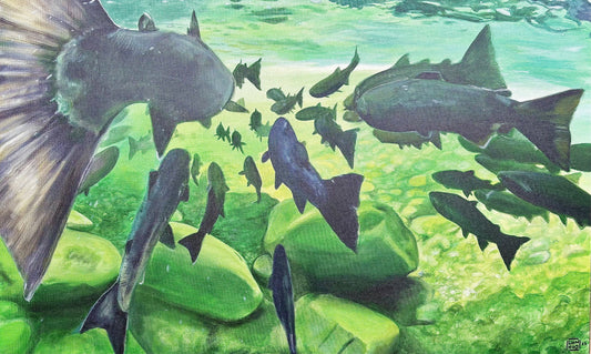 Sul Doc River Matte Print